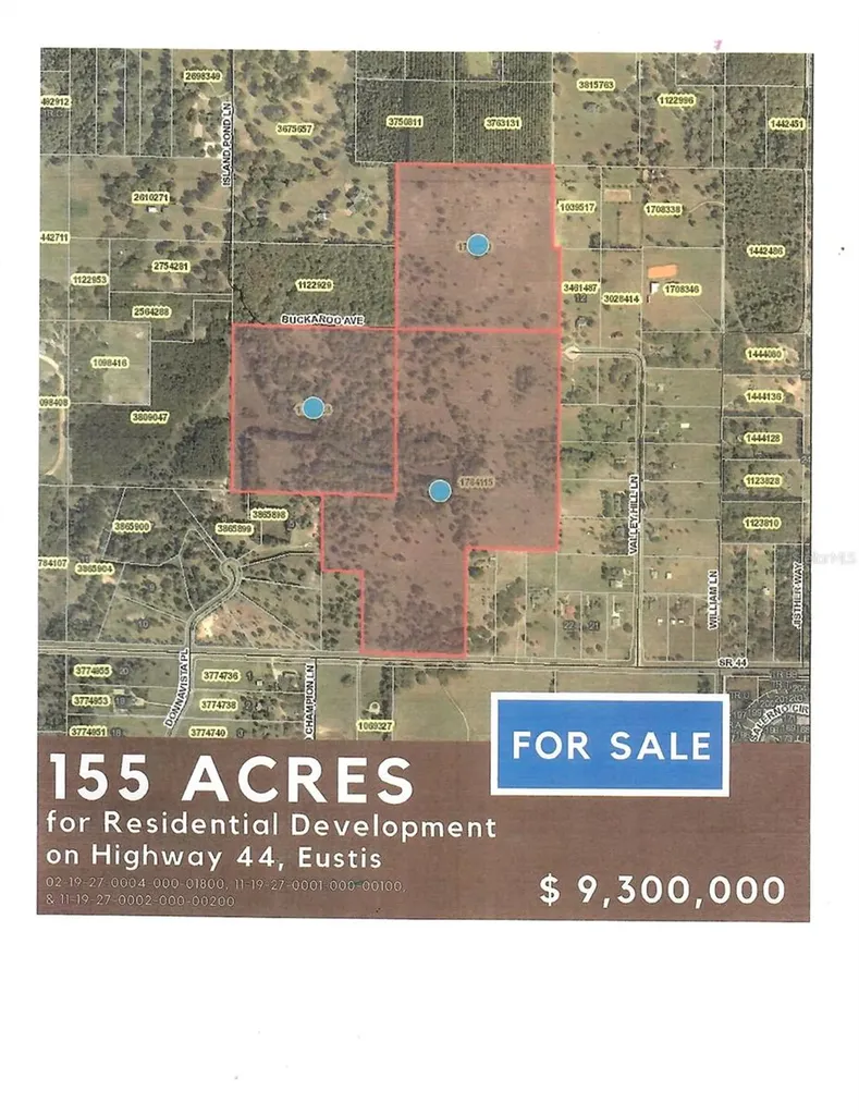 Highway 44 Eustis FL 32726
