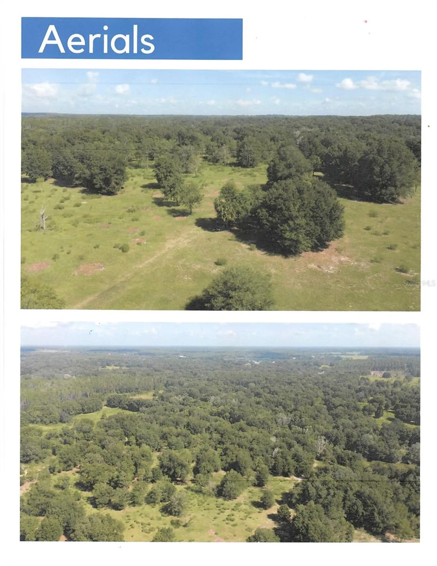 Highway 44 Eustis FL 32726
