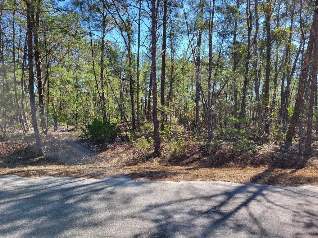 Tbd SE Fisher Run Terrace Ocala FL 34472