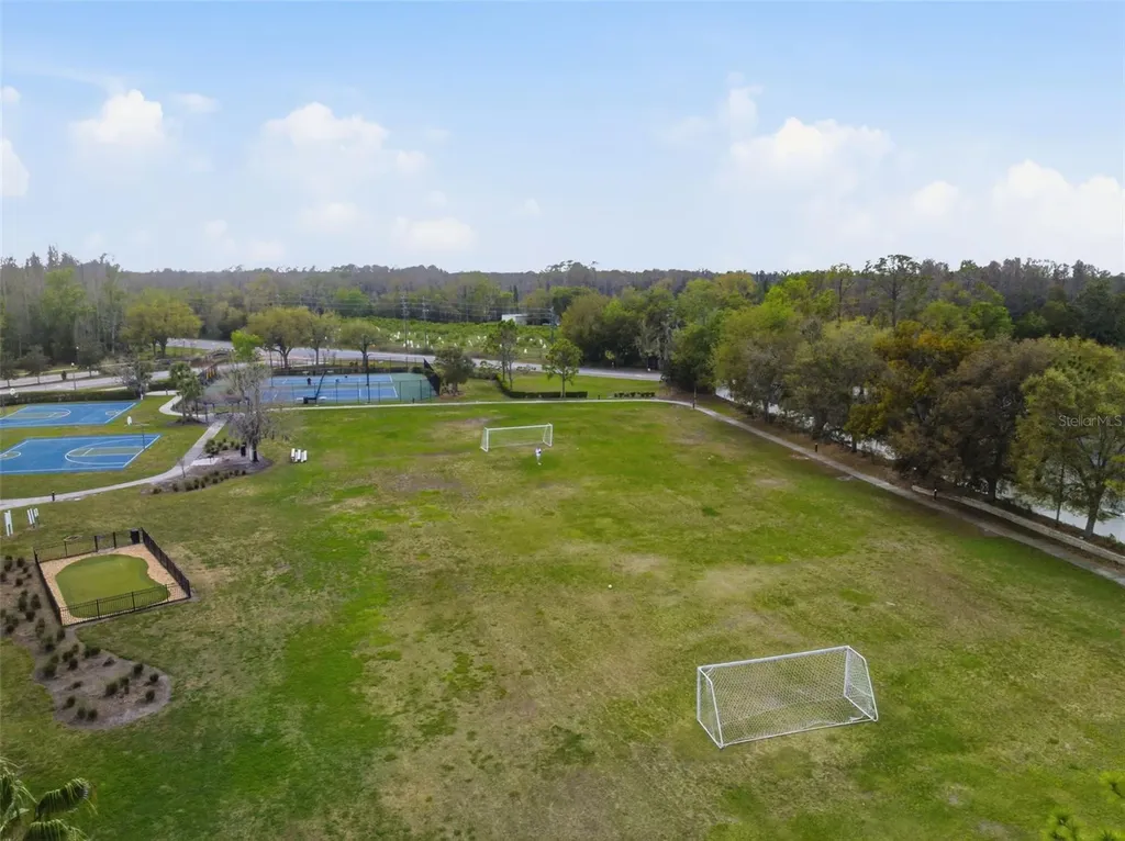 6039 Desert Peace Avenue Land O Lakes FL 34639
