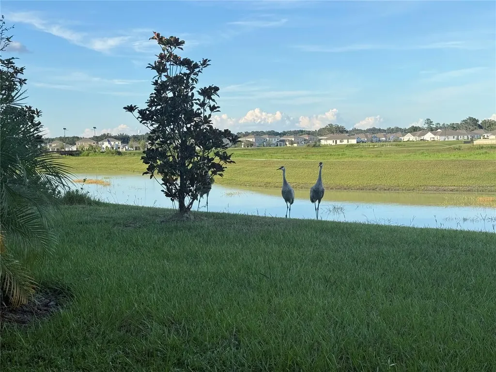 10958 Rustic Timber Loop San Antonio FL 33576