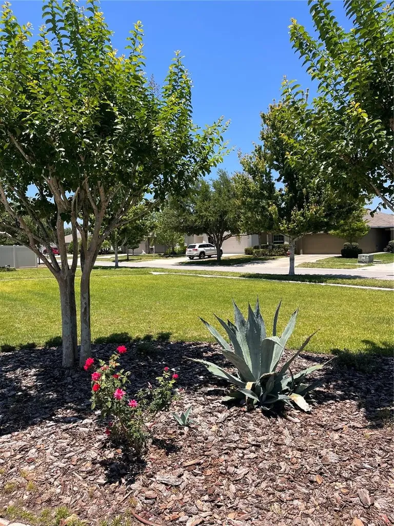 4904 Babbling Brook Lane Wimauma FL 33598