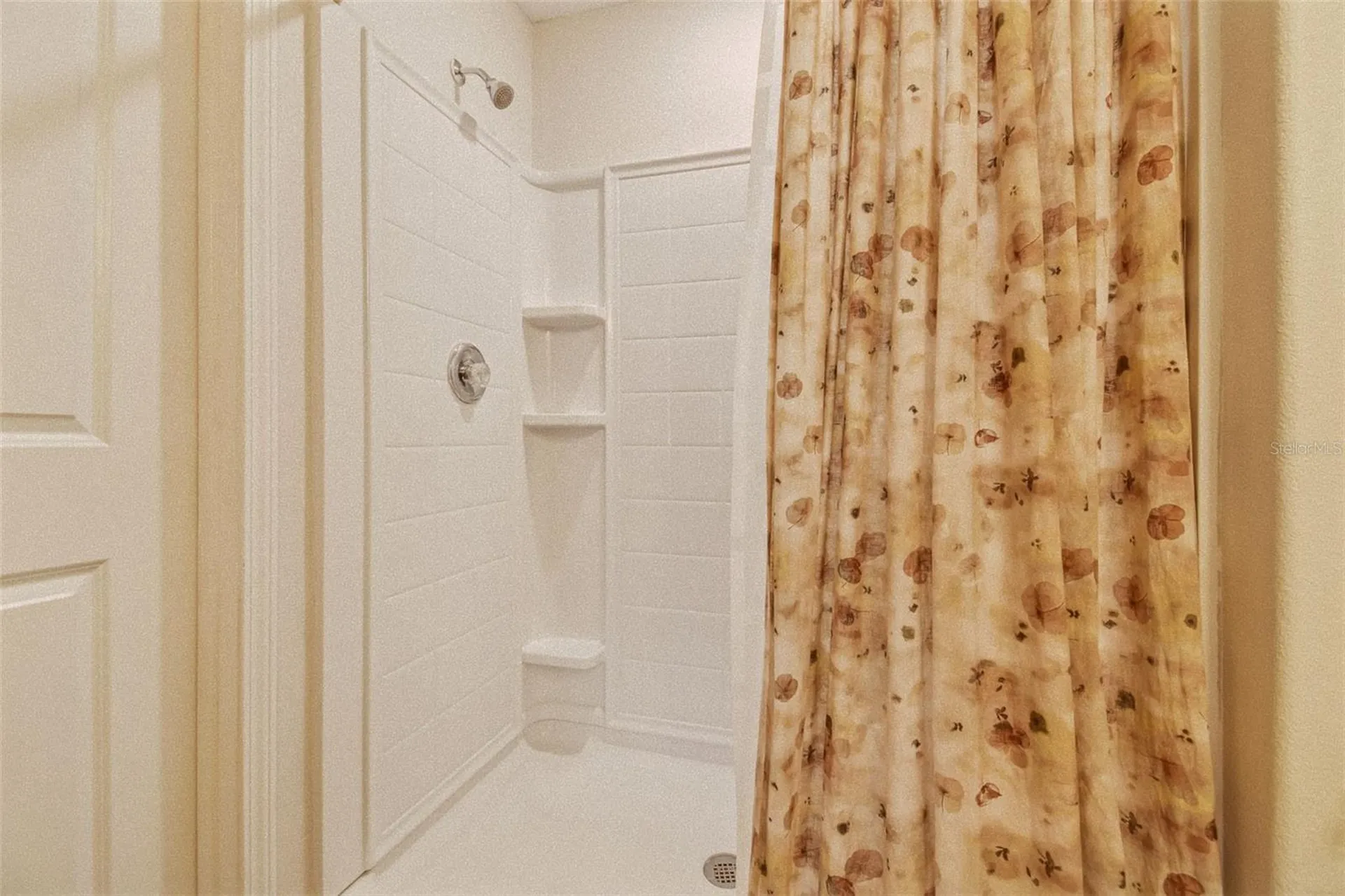 4904 Babbling Brook Lane Wimauma FL 33598