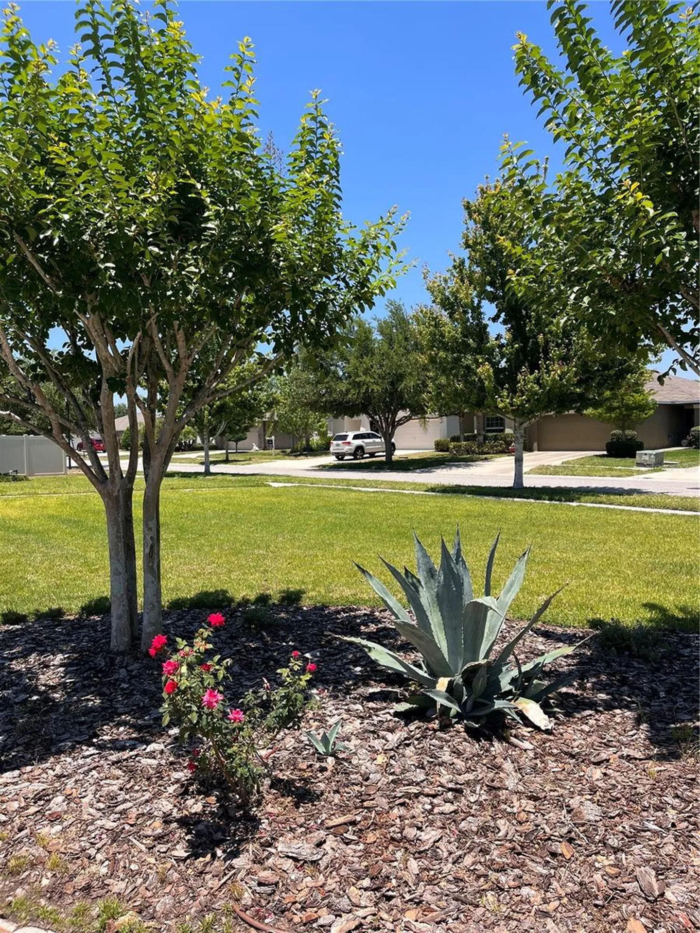 4904 Babbling Brook Lane Wimauma FL 33598