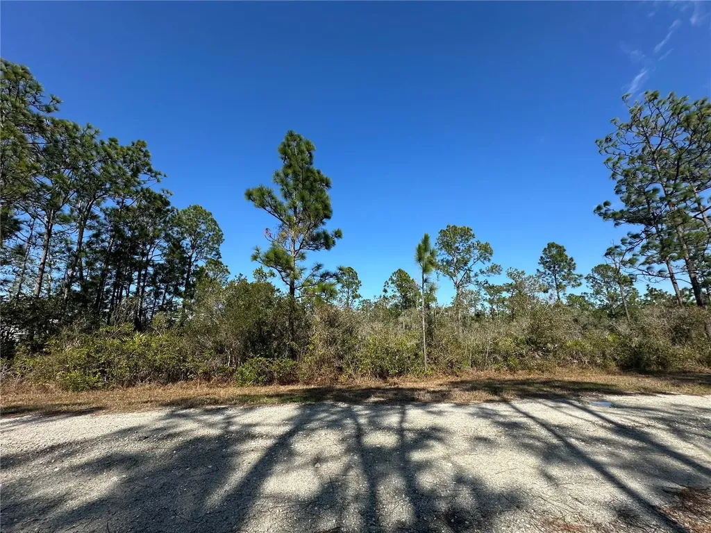 22 Bougainville Drive Indian Lake Estates FL 33855