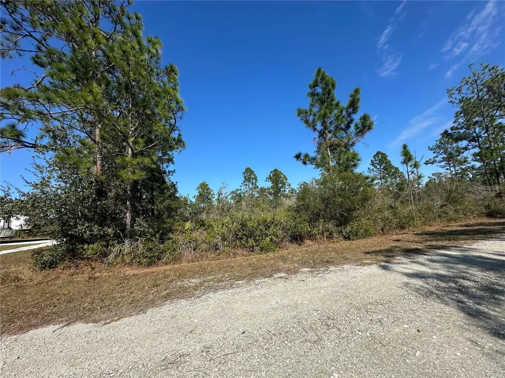 22 Bougainville Drive Indian Lake Estates FL 33855