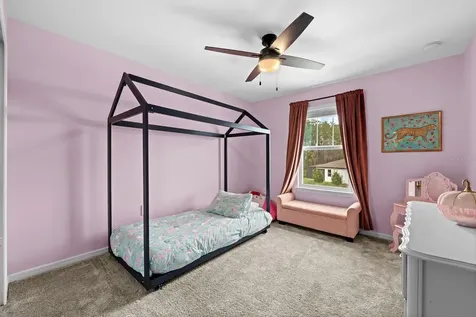 20402 Monza Loop Land O Lakes FL 34638
