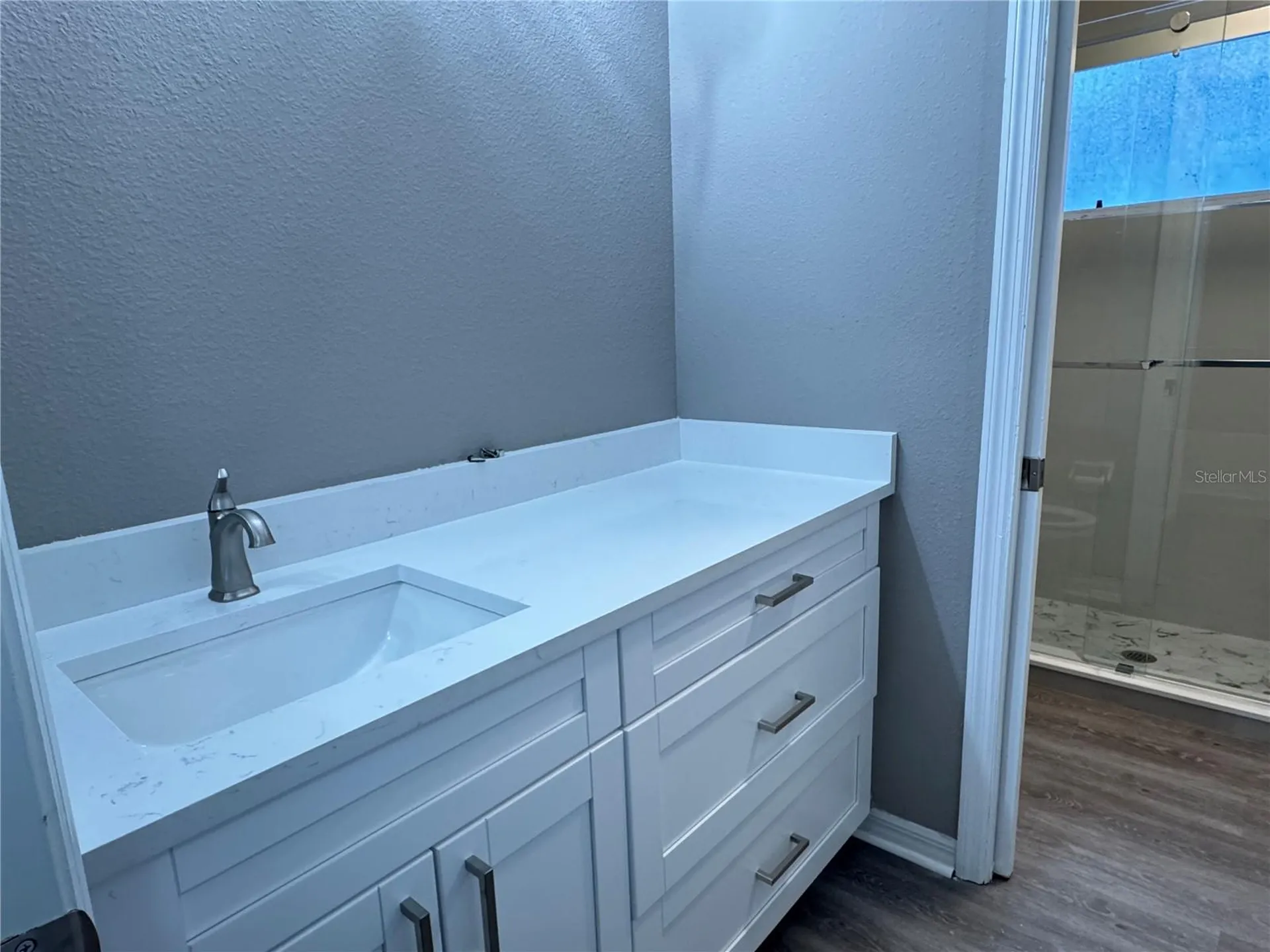 14938 Deer Meadow Drive Lutz FL 33559