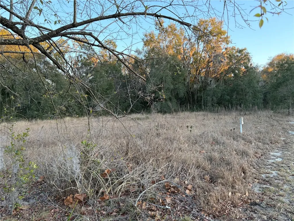 13434 Maryland Avenue Astatula FL 34705