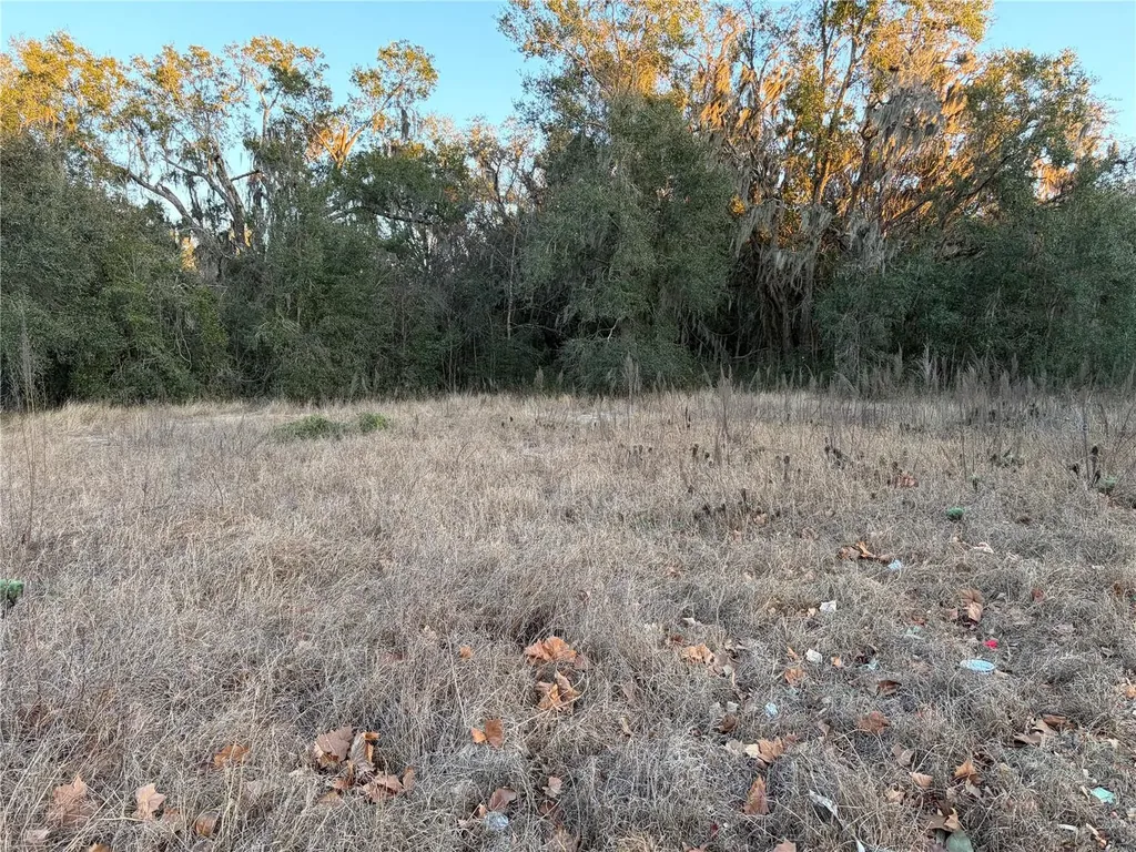 13434 Maryland Avenue Astatula FL 34705