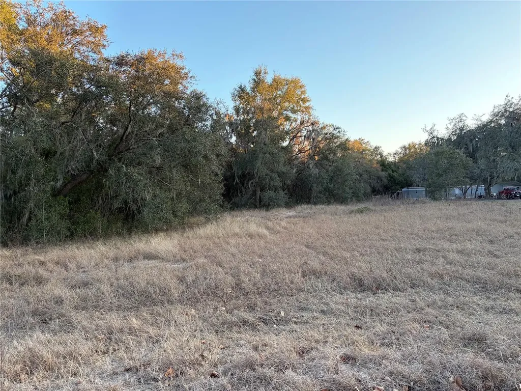 13434 Maryland Avenue Astatula FL 34705