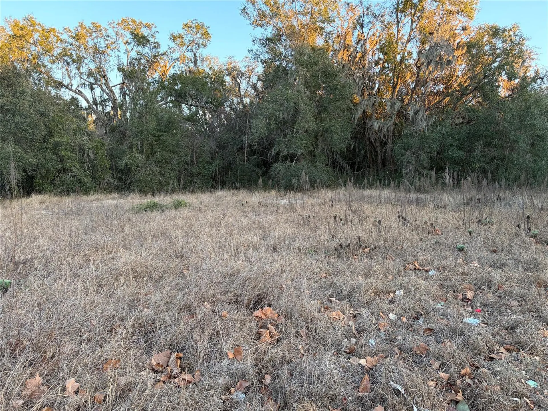 13434 Maryland Avenue Astatula FL 34705