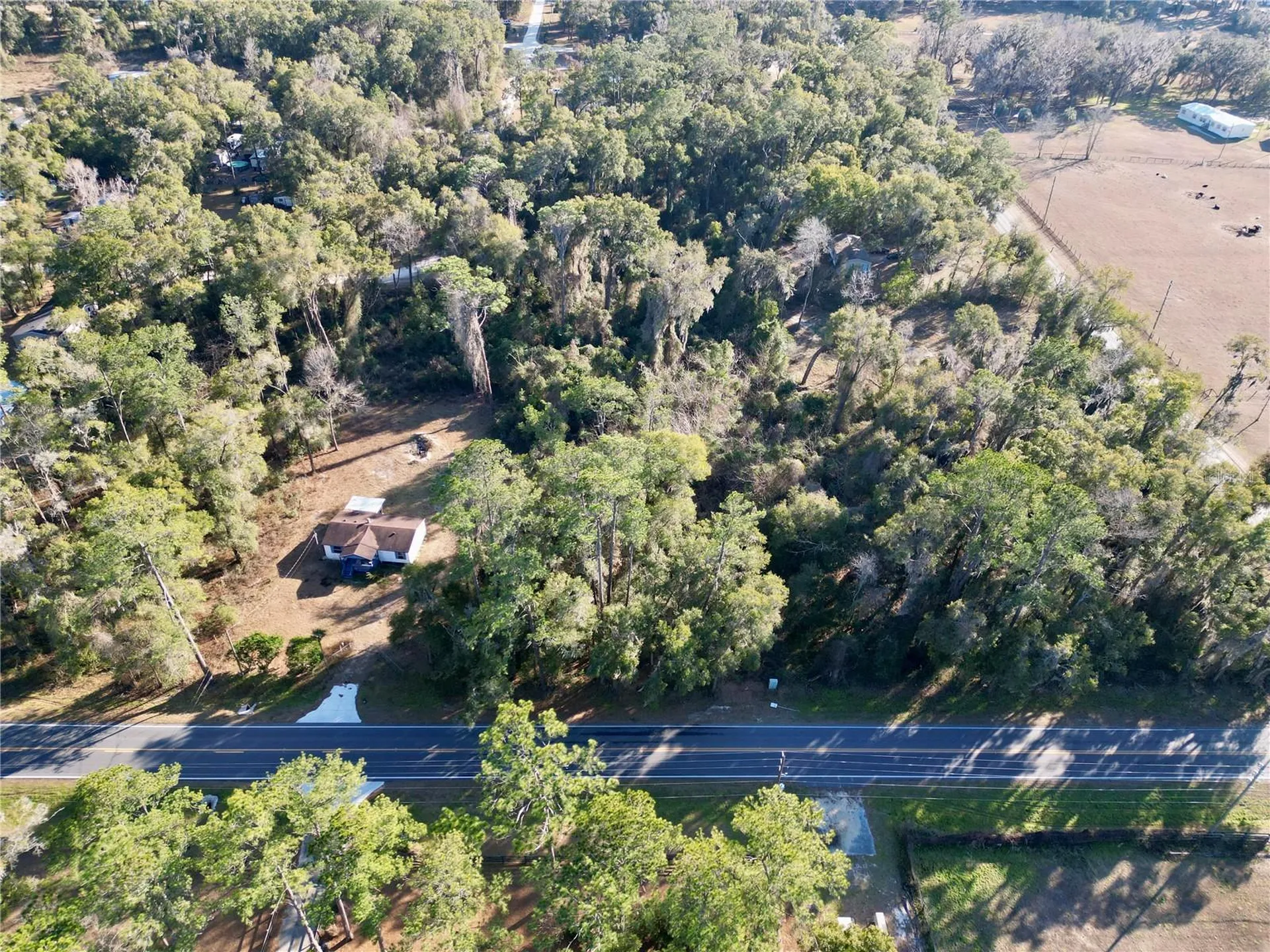 Tbd W Highway 328 Ocala FL 34482