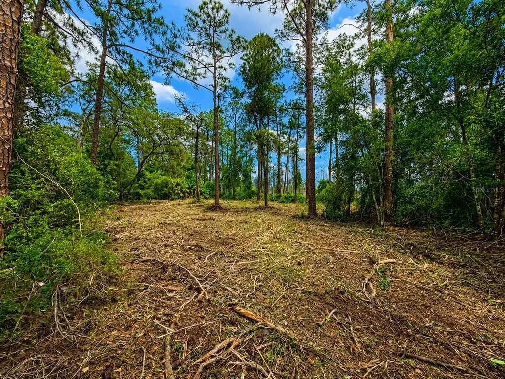Melshire Avenue Deltona FL 32738