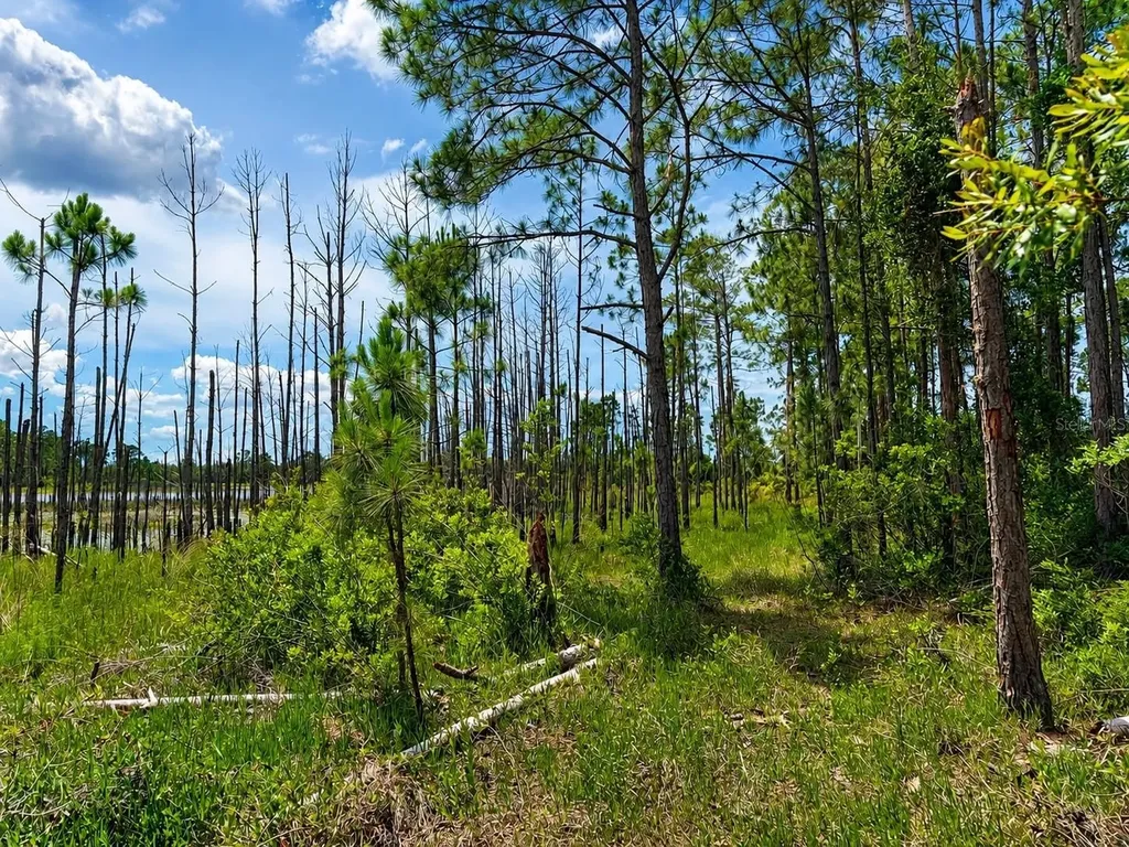 Melshire Avenue Deltona FL 32738