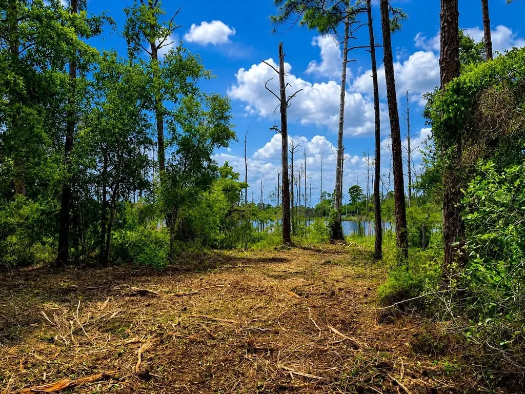 Melshire Avenue Deltona FL 32738