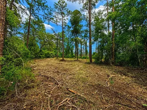 Melshire Avenue Deltona FL 32738