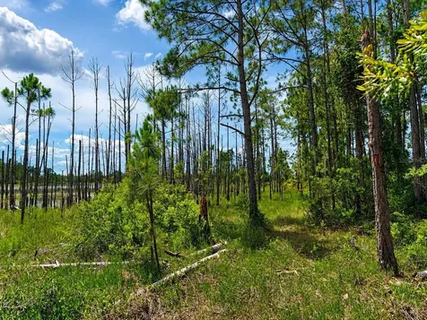 Melshire Avenue Deltona FL 32738