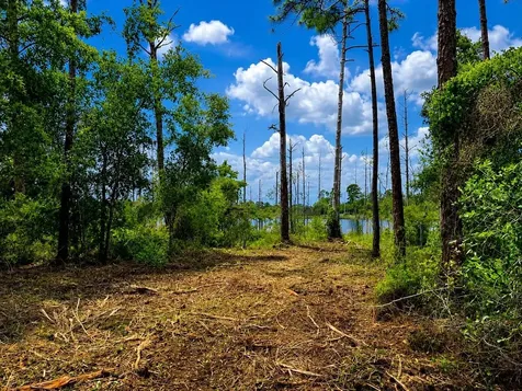 Melshire Avenue Deltona FL 32738