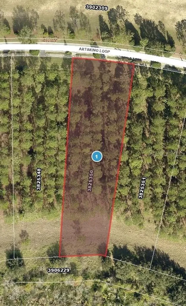 16802 Artimino Loop Bella Collina FL 34756