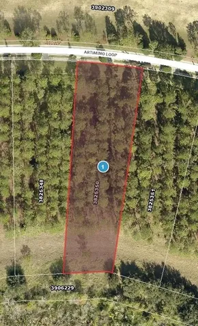16802 Artimino Loop Bella Collina FL 34756