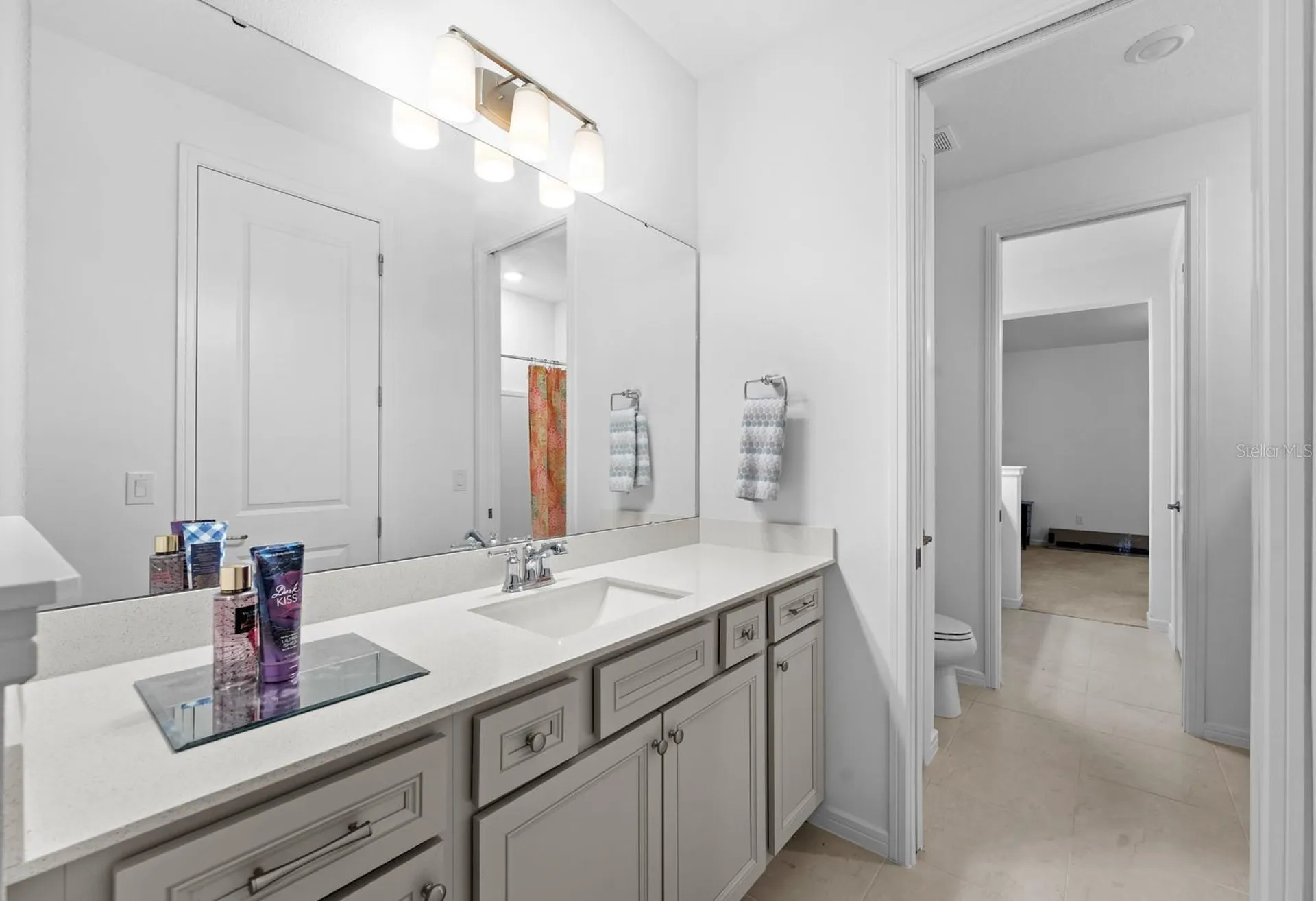 13060 Willow Grove Drive Riverview FL 33579