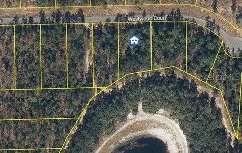 115 Westwood Court Interlachen FL 32148