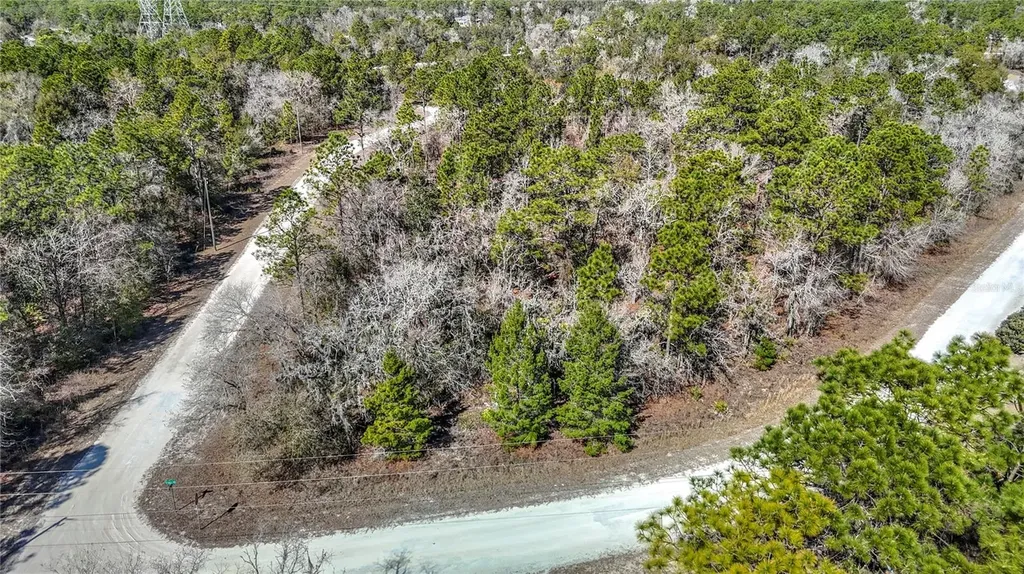 16070 Sheldrake Loop Weeki Wachee FL 34614