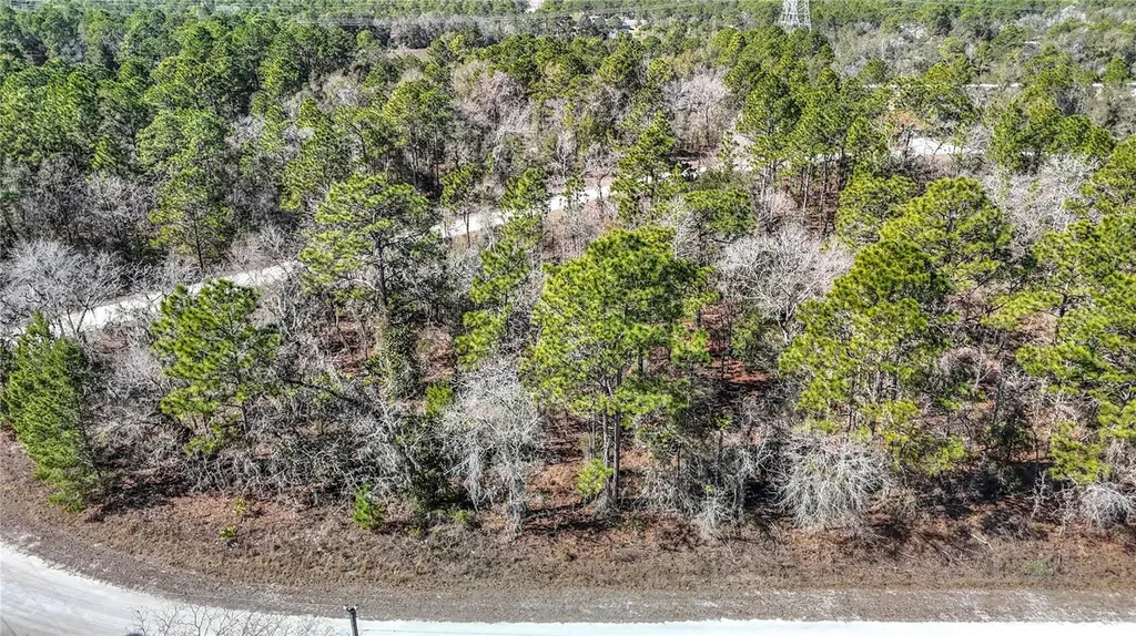 16070 Sheldrake Loop Weeki Wachee FL 34614