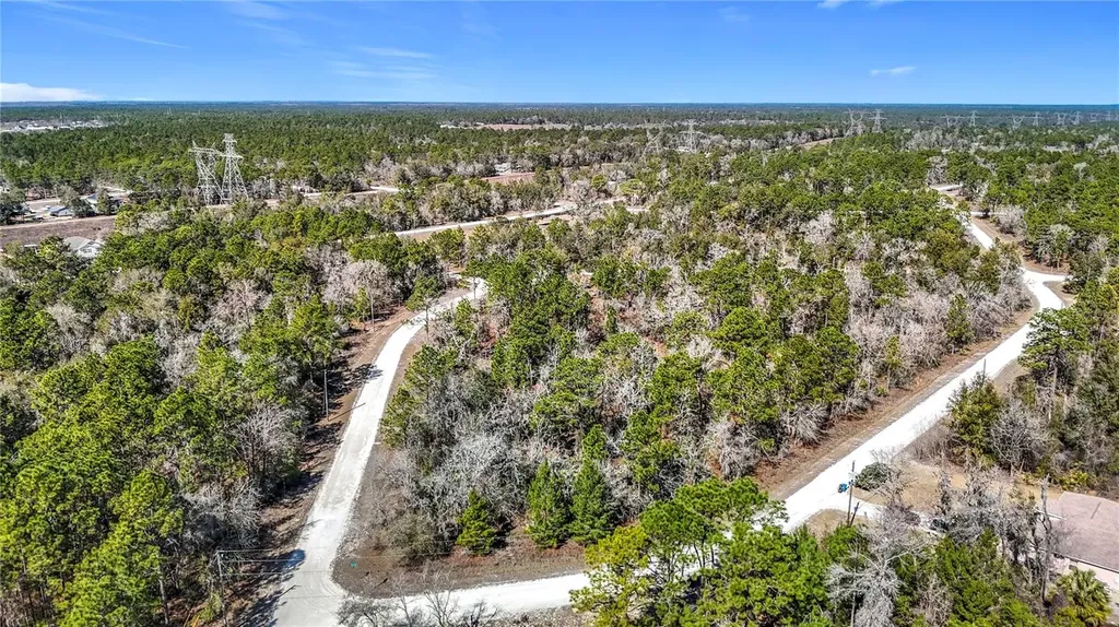 16070 Sheldrake Loop Weeki Wachee FL 34614