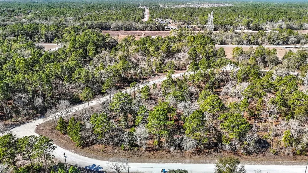 16070 Sheldrake Loop Weeki Wachee FL 34614