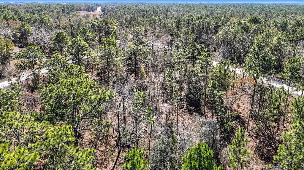 16070 Sheldrake Loop Weeki Wachee FL 34614