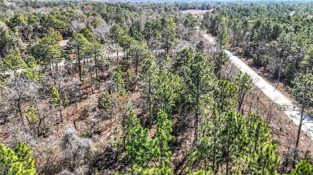 16070 Sheldrake Loop Weeki Wachee FL 34614