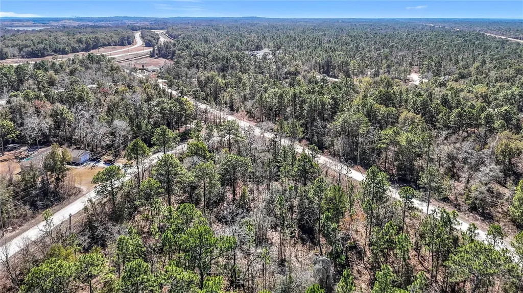16070 Sheldrake Loop Weeki Wachee FL 34614