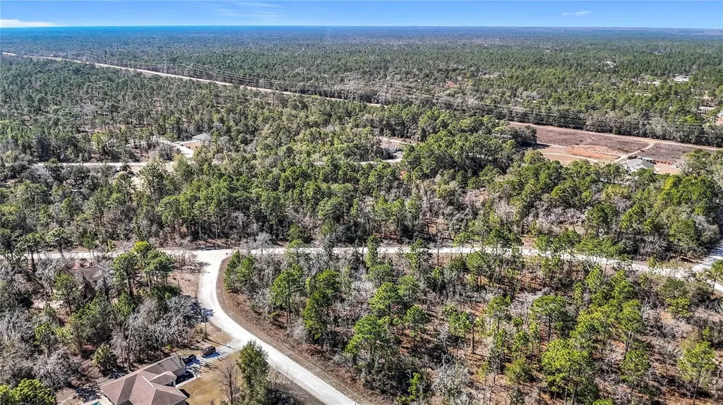 16070 Sheldrake Loop Weeki Wachee FL 34614