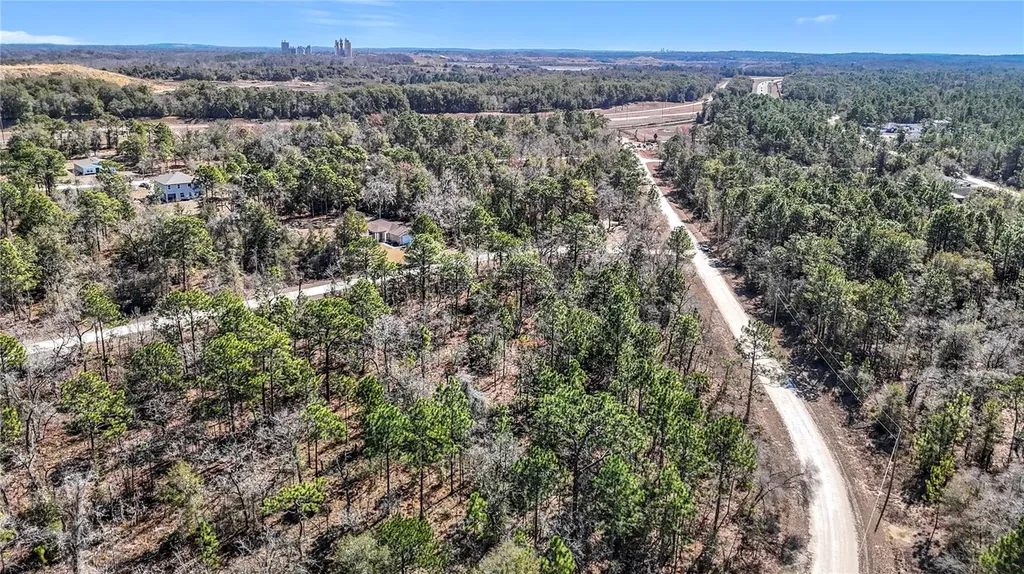 16070 Sheldrake Loop Weeki Wachee FL 34614