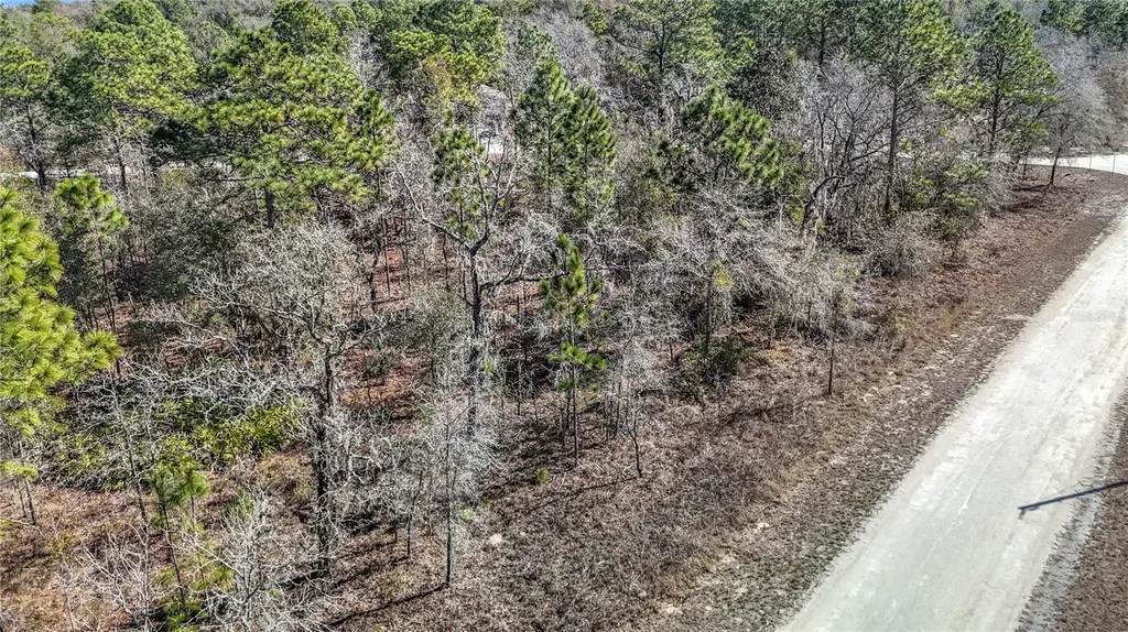 16070 Sheldrake Loop Weeki Wachee FL 34614