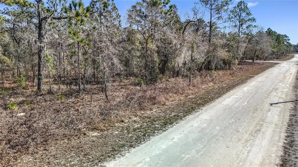 16070 Sheldrake Loop Weeki Wachee FL 34614