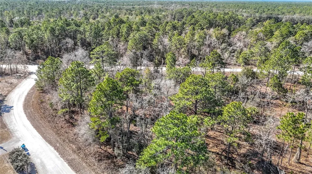 16070 Sheldrake Loop Weeki Wachee FL 34614