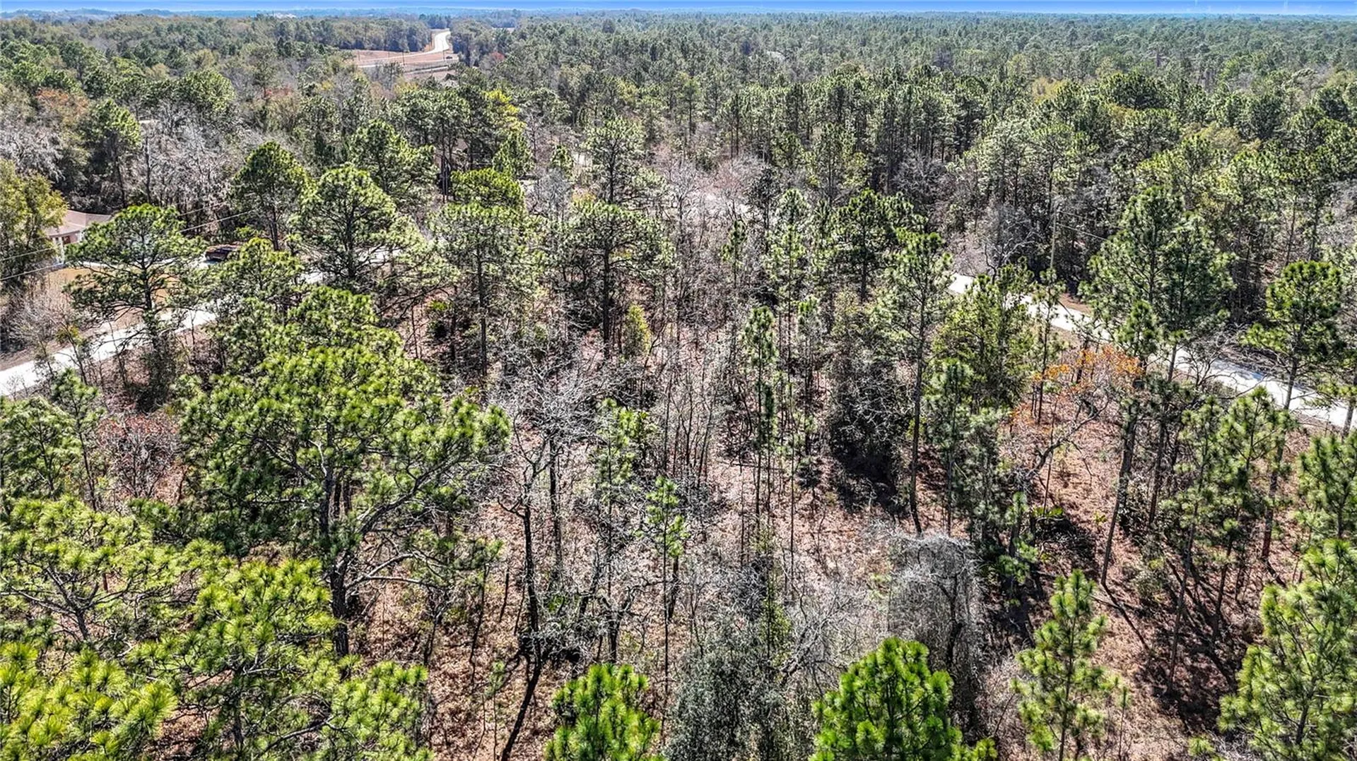 16070 Sheldrake Loop Weeki Wachee FL 34614