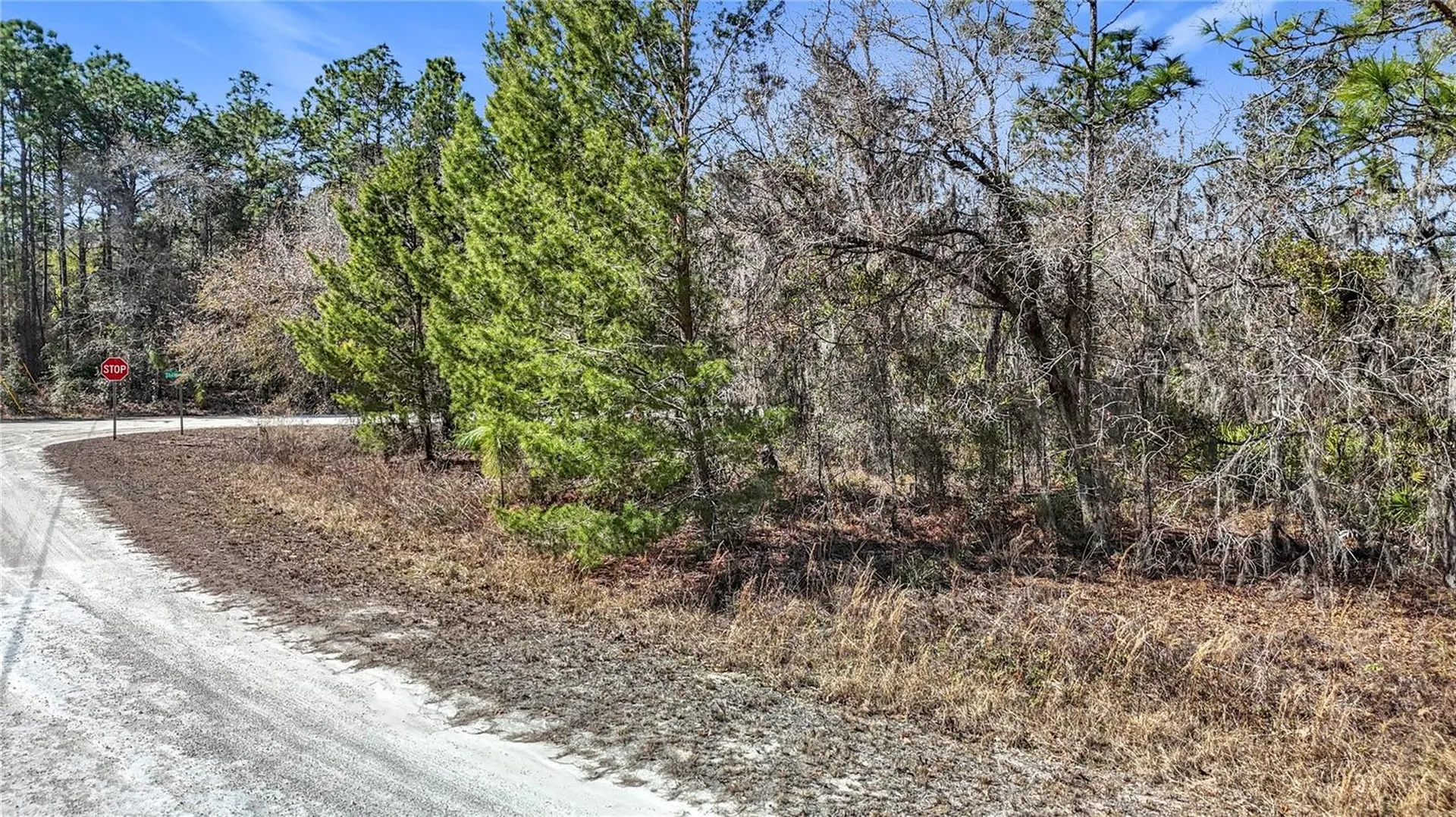 16070 Sheldrake Loop Weeki Wachee FL 34614