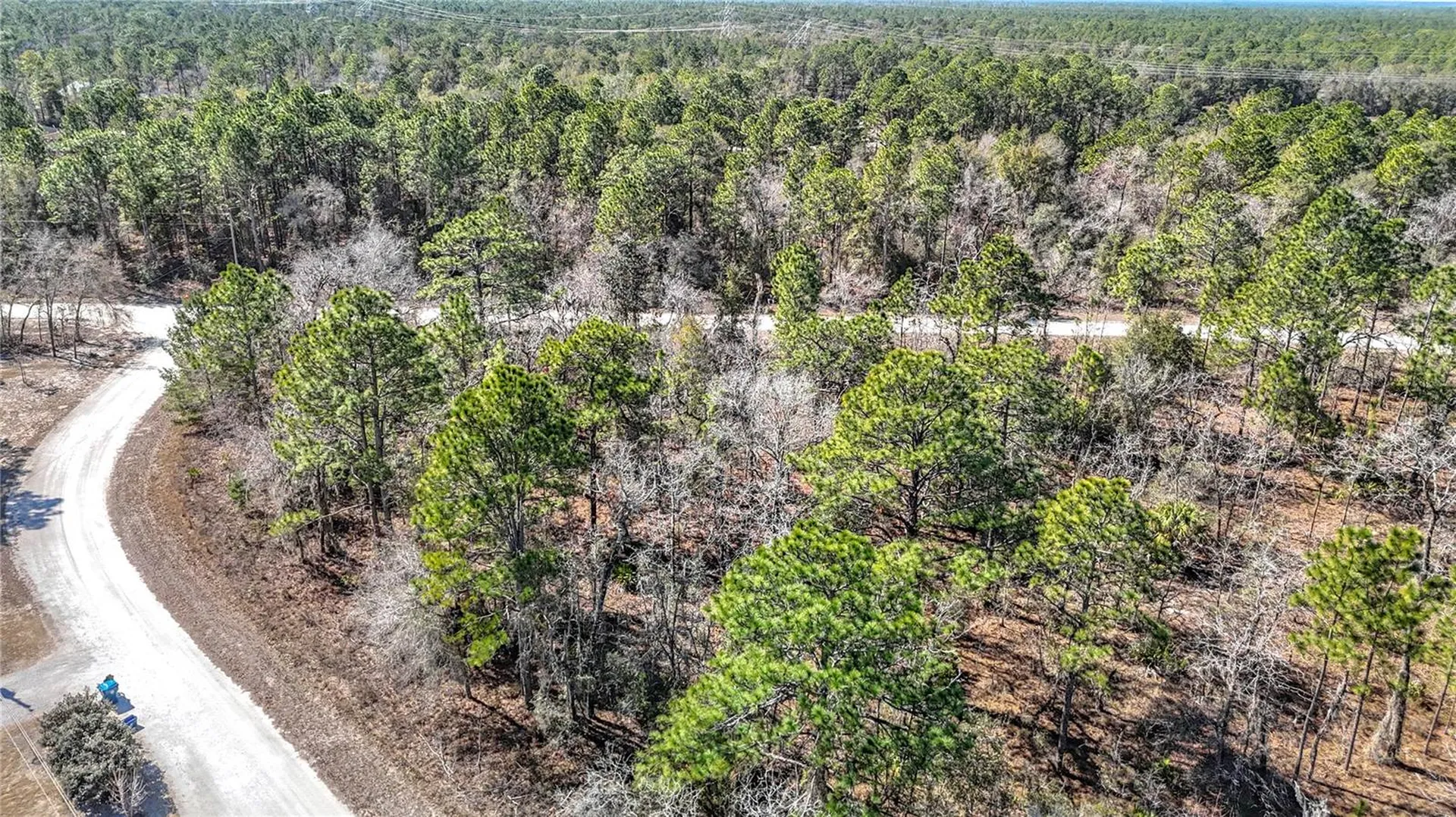 16070 Sheldrake Loop Weeki Wachee FL 34614