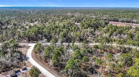 16070 Sheldrake Loop Weeki Wachee FL 34614