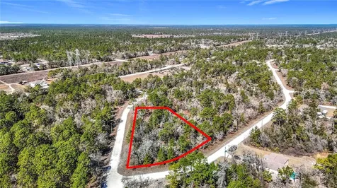 16070 Sheldrake Loop Weeki Wachee FL 34614