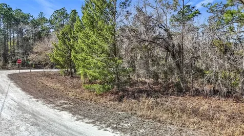 16070 Sheldrake Loop Weeki Wachee FL 34614