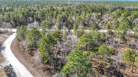 16070 Sheldrake Loop Weeki Wachee FL 34614