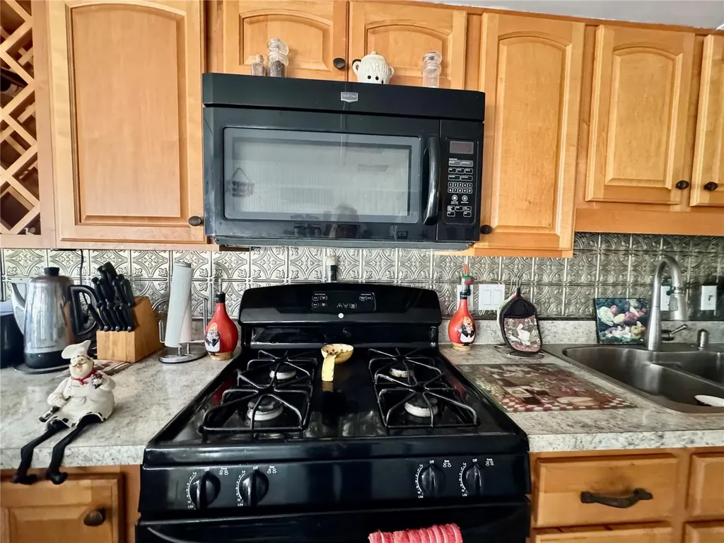 4842 Britni Way Zephyrhills FL 33541