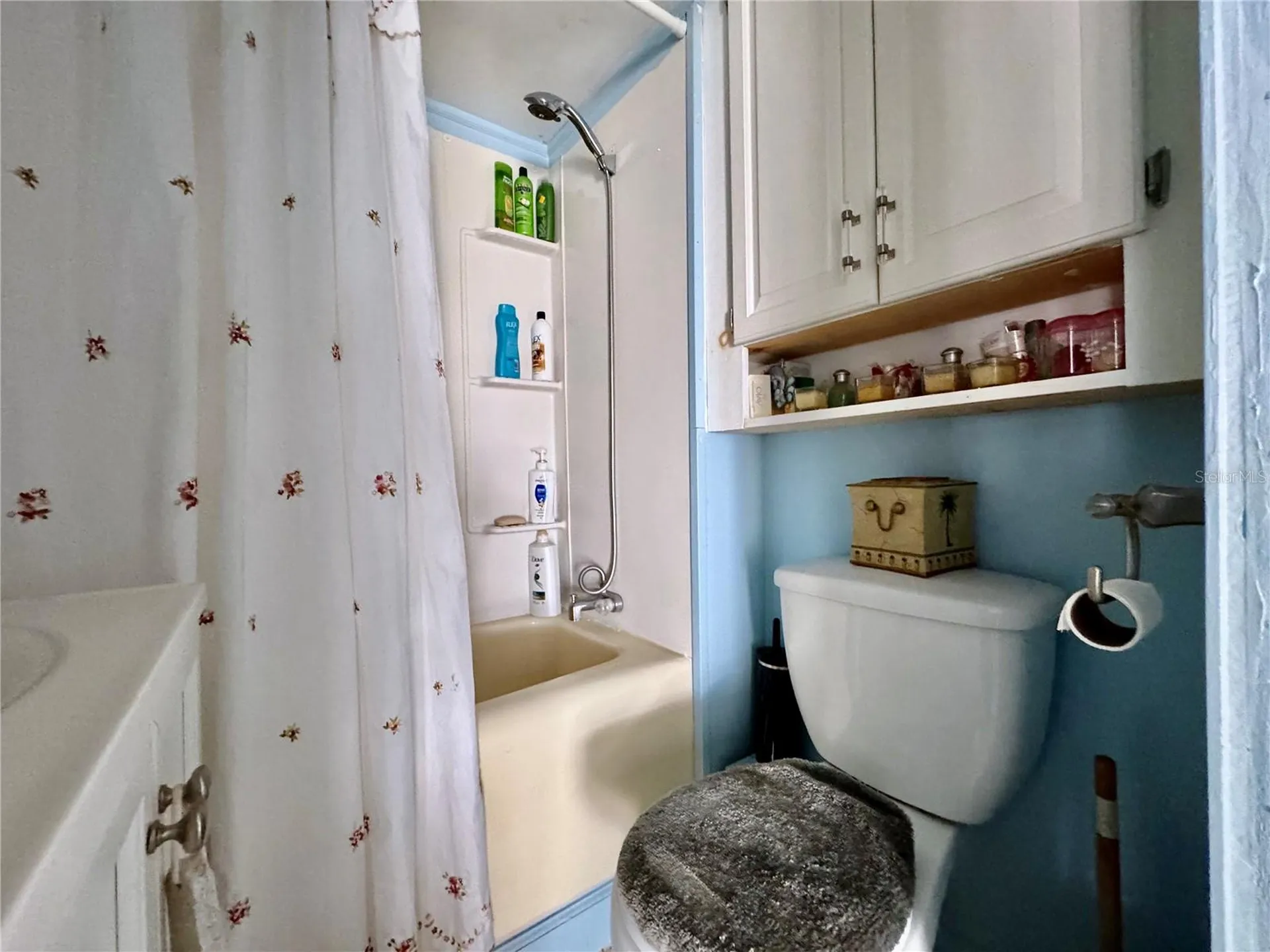 4842 Britni Way Zephyrhills FL 33541