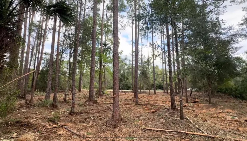 107 S Georgetown Point Road Georgetown FL 32139