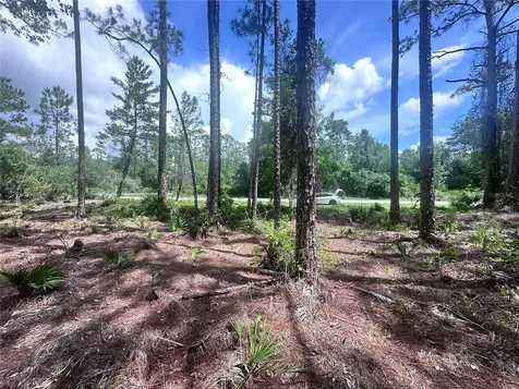 107 S Georgetown Point Road Georgetown FL 32139